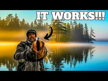 Is This Custom Color the Ultimate Bass Magnet?