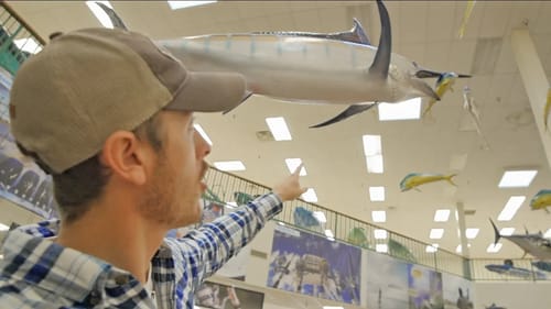 Amazing Fish Mounts in Texas Fishing Store