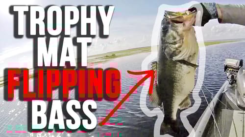 HUGE Fish Flipping Winter Mats on Lake Kissimmee
