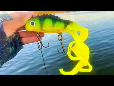 14 inch SWIMBAIT catches 150 LB MONSTER!!