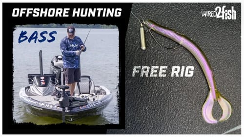 Expert Tips for Offshore Bass Fishing | Discovering Depth