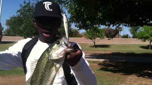 Spring Bass Fishing With Jerkbaits