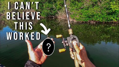 Catching Huge Saltwater Fish While Fishing Inshore