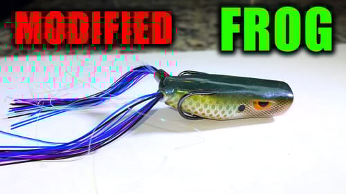 This FROG has all the PRO Fishing Mods Already Installed!!!