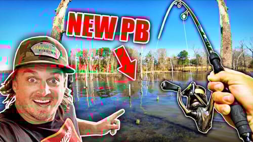Chasing THOUSANDS of Trophy Fish Through a FLOODED FOREST! (Unbelievable PBs)