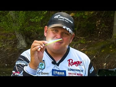 Jerkbait Magic: Unlocking Year-Round Bass Fishing Success