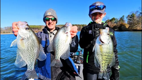 CRAPPIE Fishing BLUFF WALLS! (Lake Guntersville)