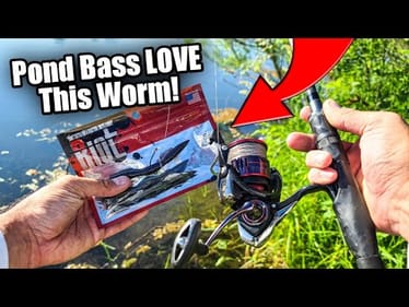 The EASIEST Way to Catch Summer Bass (Bank Fishing TIPS!)