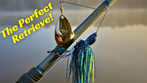 Catch Giants With This Spinnerbait Retrieve!