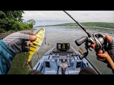 Fishing for Angry smallmouth bass