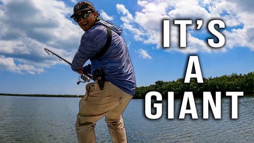 When You Catch A Monster Fish From a Tiny Boat