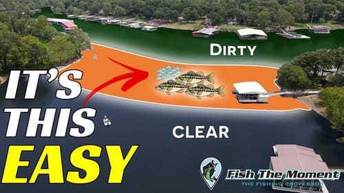 This Trick Works Year-Round To Find Bass FAST!
