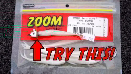 START Fishing A Fluke Like THIS!