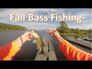 Fall Turnover Bass Fishing Tactics