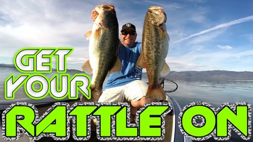 Jig Fishing: Rattles Vs. No Rattles