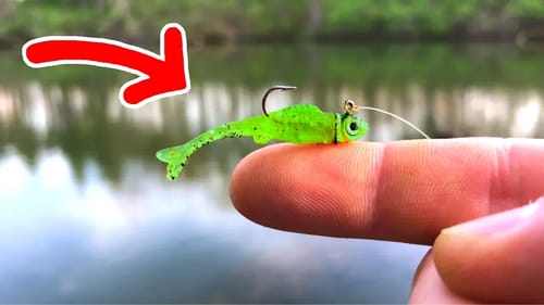 This TINY Swimbait Catches GIANTS!!!