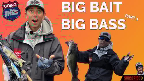 BIG BAIT = BIG BASS