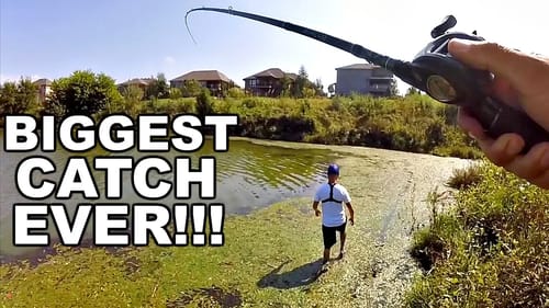 My BIGGEST Fish I've EVER Caught!!! Best Moments of 2018!