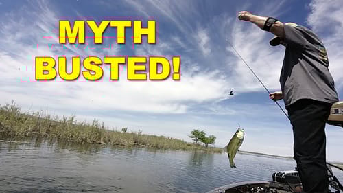 Grabbing Line When Landing Fish | Bass Fishing