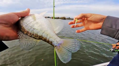 CRAPPIE FISHING BRIDGES AND BRUSH IN THE WINTER!