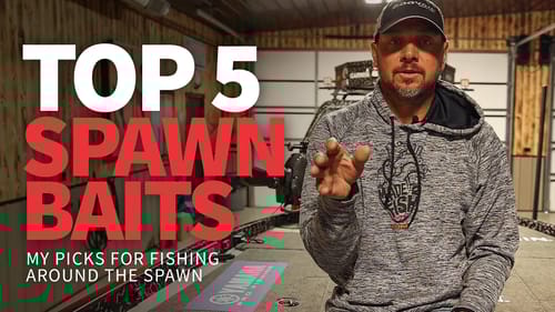TOP 5 Baits for fishing around the SPAWN