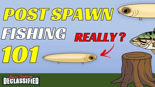 Post Spawn Bass Are Not Where You Expect! - Don’t Get Left Behind