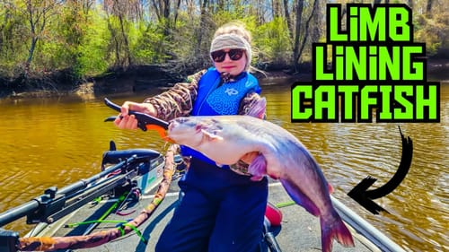 Running LIMB LINES For BIG RIVER CATFISH!! || Limb Line Fishing