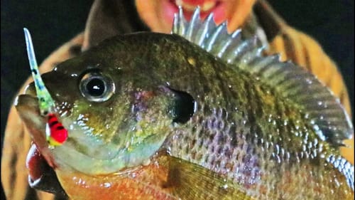 THUNDERSTORM plus ICE FISHING = Epic Day!