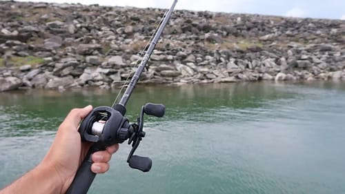 BIG Swimbait gets CRUSHED While Lake Fishing (HUGE Bass)