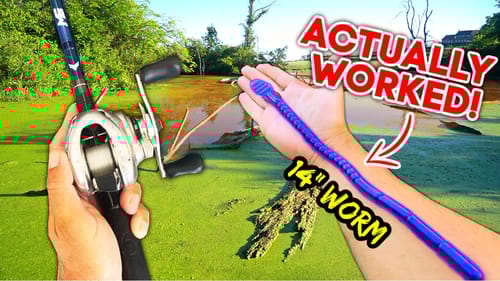 WORLD'S LARGEST Fishing Worm CHALLENGE!! (Pond Fishing)