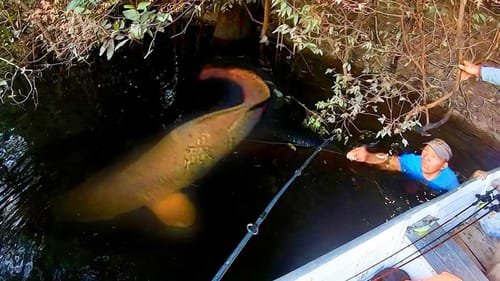 200 LB + CREATURE FROM THE DARK LAGOON!!! (INSANE)