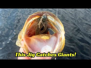 This Compact Jig Catches GIANTS!! 