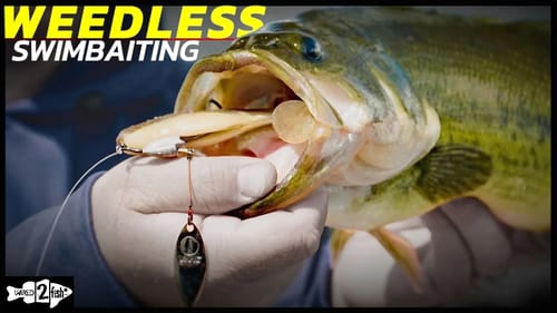 How to Fish Weedless Swimbait for Summertime Bass