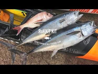 Double Hook Up Tuna  Mayhem!