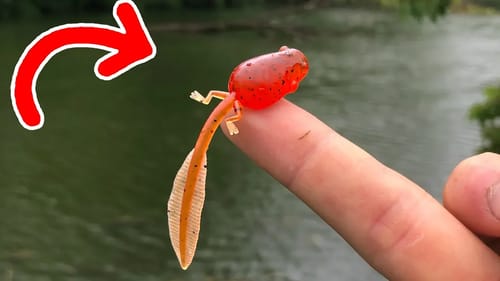 TADPOLE Lure Catches BIGGEST of the YEAR!! (My $330 MISTAKE!)