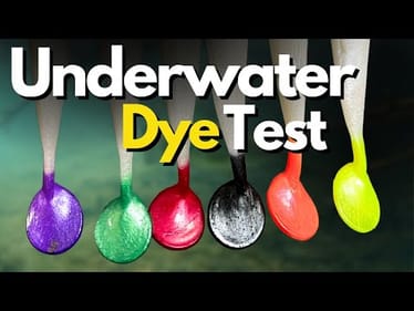 Which Lure Dye Colors are BEST for Murky Water? (6 Colors Tested)