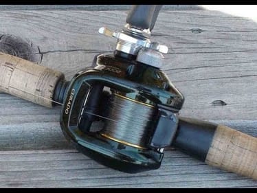 NEW rod and reel combo?
