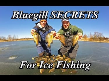 Bluegill SECRETS Ice Fishing - Wax Worms on the Double Rig
