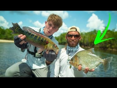 Exotic Fish Species Challenge -- (1v1 Roulette Fishing Match)