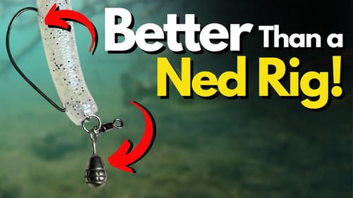 This COMPLETELY Replaced the Ned Rig for Me - Many Viewer Requests for This Video