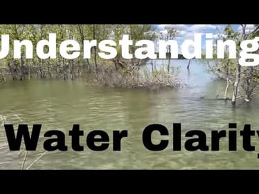 Bass And Water Clarity...Why You Will Never Be A Good Angler Unless You Understand It’s Effects