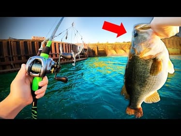 I ACCIDENTALLY Caught My BIGGEST FISH Ever (NEW PB!)