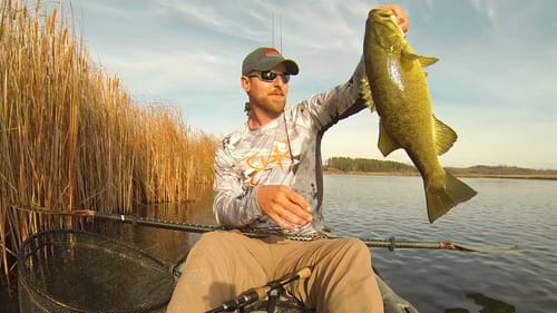 A Few Bass On The River