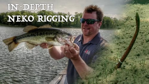 How to Rig the Neko Rig and Where to Fish It