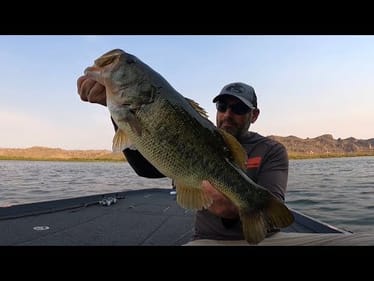 How To Catch BIG Bass on Arizona’s BUSIEST LAKE!!