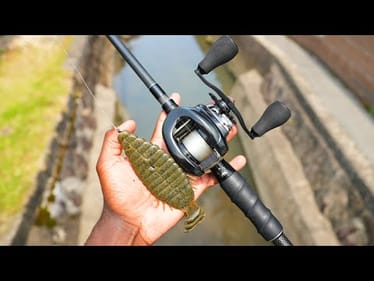 If Your Fish Eat Bluegill, You NEED To Try This Lure!