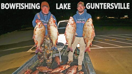 BOWFISHING for BIG BUFFALO! (Spotlights at Night!!)