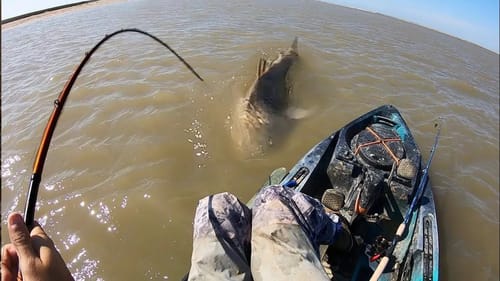 This MONSTER IS TOWING MY KAYAK!!! (INSANE)