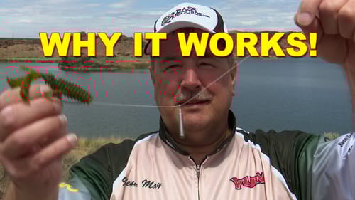 The Best Free Rig Tips: How To | How To | Bass Fishing