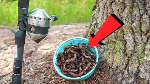 LIVEBAIT Fishing SMALL Pond (LOADED w/ FISH)